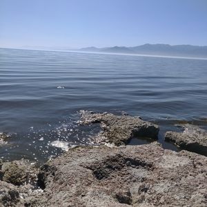 Meet your Posher, Mj